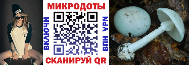 Псилоцибиновые грибы MAGIC MUSHROOMS  Нижний Тагил 